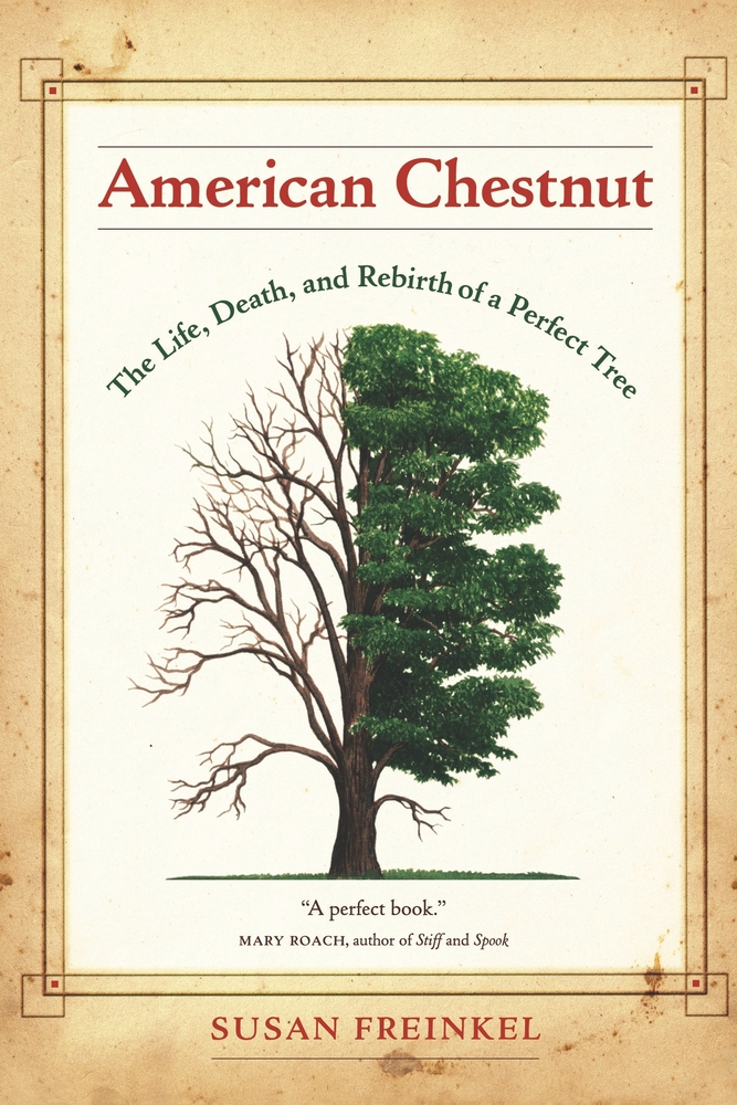 cover for American Chestnut: The Life, Death, and Rebirth of a Perfect Tree by Susan Freinkel