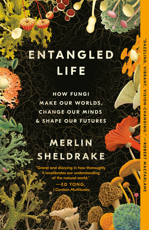 cover for Entangled Life: How Fungi Make Our Worlds, Change Our Minds & Shape Our Futures by Merlin Sheldrake