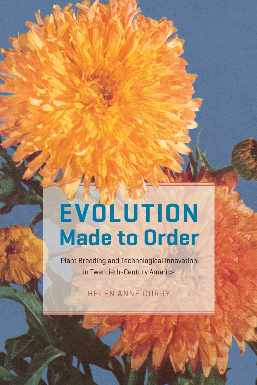 cover for Evolution Made to Order: Plant Breeding and Technological Innovation in Twentieth-Century America by Helen Anne Curry