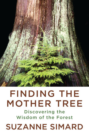 cover for Finding the Mother Tree: Discovering the Wisdom of the Forest by Suzanne Simard