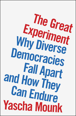 cover for The Great Experiment: Why Diverse Democracies Fall Apart and How They Can Endure by Yascha Mounk