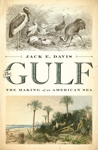cover for The Gulf: The Making of an American Sea by Jack E. Davis