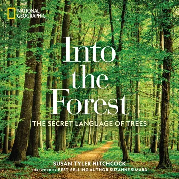 cover for Into the Forest: The Secret Language of Trees by National Geographic Society