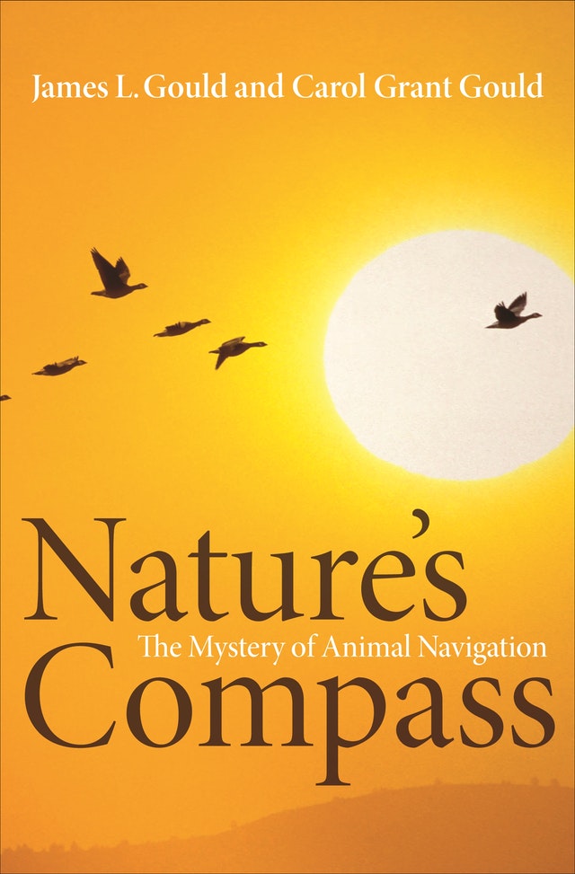 cover for Nature's Compass: The Mystery of Animal Navigation by James L. Gould and Carol Grant Gould
