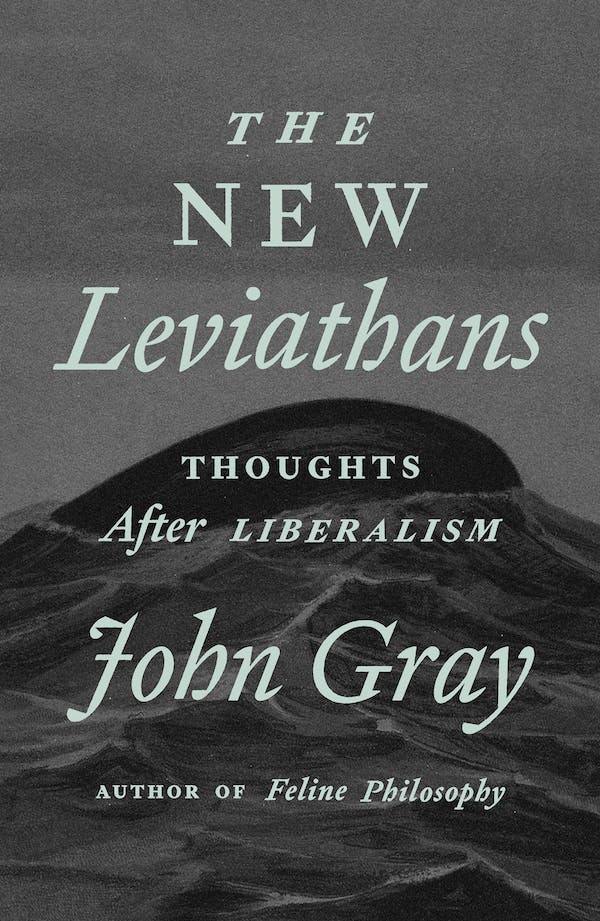 cover for The New Leviathans: Thoughts After Liberalism by John Gray