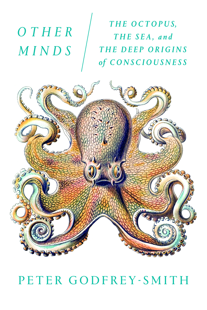 cover for Other Minds: The Octopus, the Sea, and the Deep Origins of Consciousness by Peter Godfrey-Smith