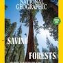 cover for Saving Forests by National Geographic Magazine May 2022