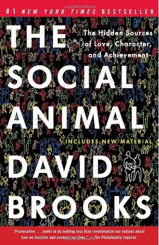 cover for The Social Animal: The Hidden Sources of Love, character, and Achievement by David Brooks
