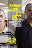 cover for Tearing Down the Gates: Confronting the Class Divide in American Education by Peter Sacks