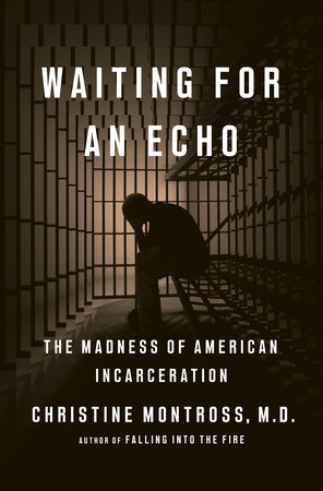 cover for Waiting for an Echo: The Madness of American Incarceration by Christine Montross