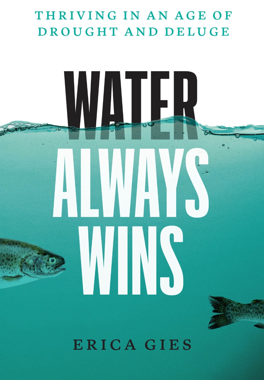 cover for Water Always Wins: Thriving in an Age of Drought and Deluge by Eric Gies