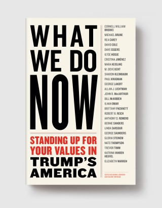 cover for What We Do Now: Standing Up For Your Values In Trump's America edited by Dennis Johnson and Valerie Merians