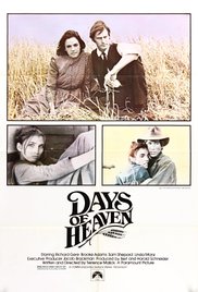 cover for Days of Heaven, a film directed by Terrence Malik
