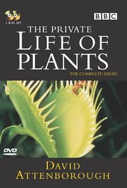 cover for The Private Life of Plants, a film starring David Attenborough